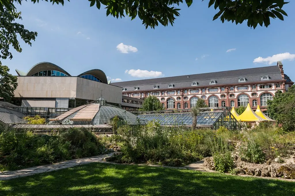Die Alte Universitätsbibliothek im Jahr 2014 vom Botanischen Garten her gesehen