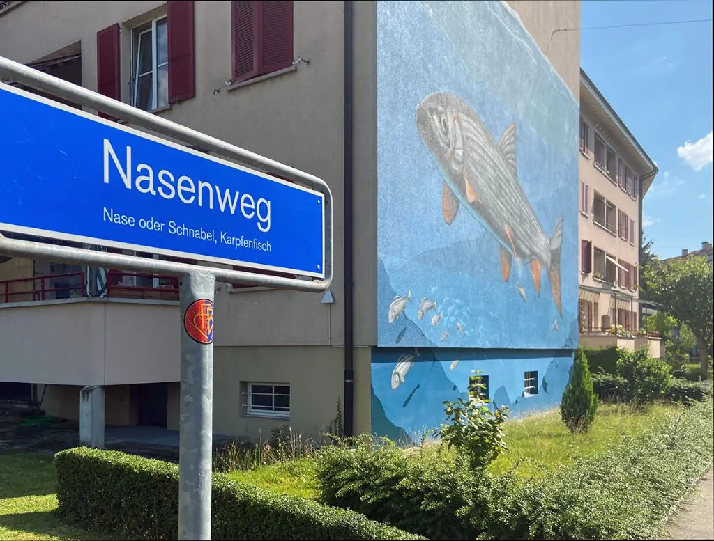 In Wort und Bild: Der Nasenweg im Breitequartier