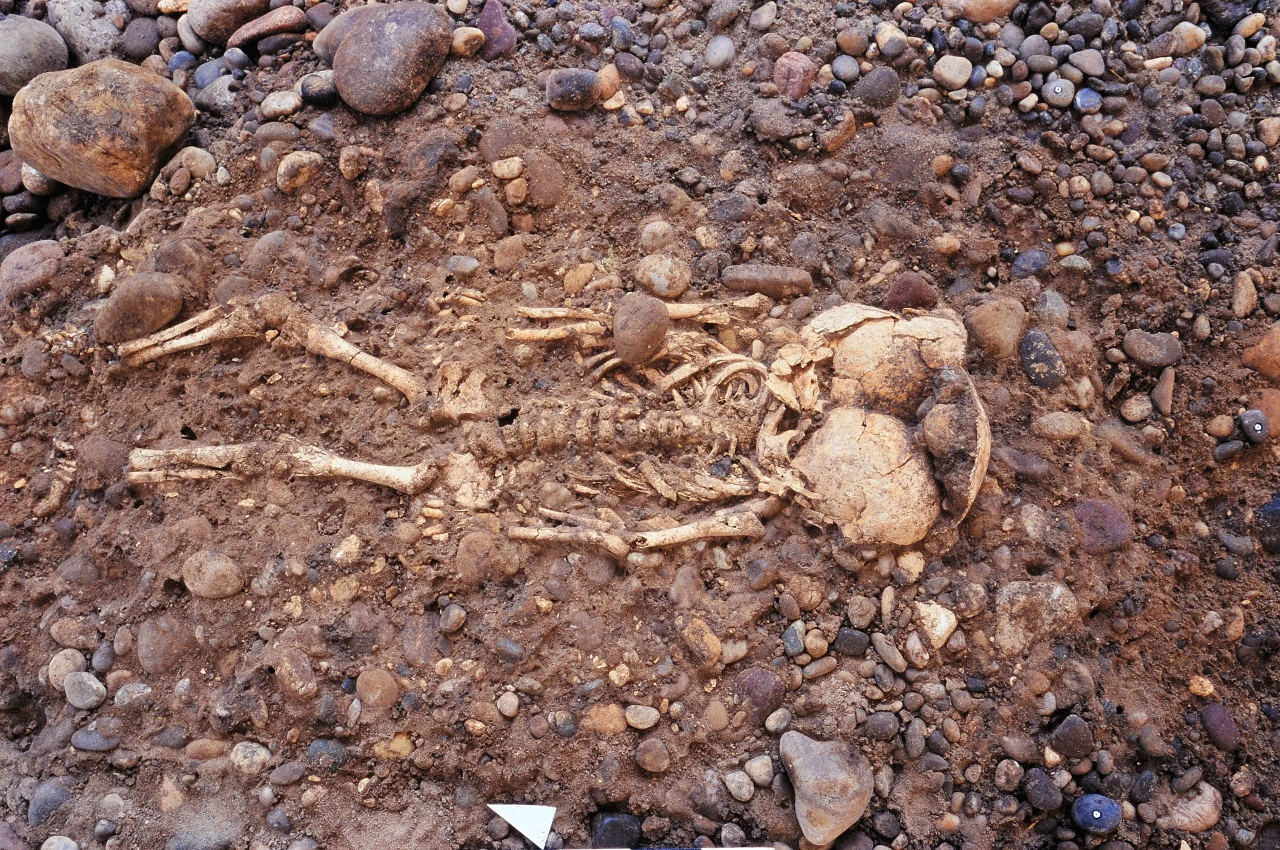 Kinderskelette in einem Grab